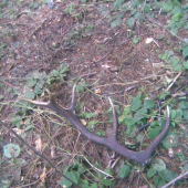 na dnešných potulkách