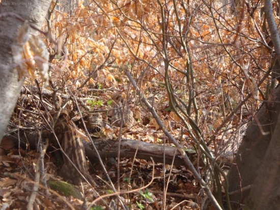 nebolo mi vsetko jedno 1