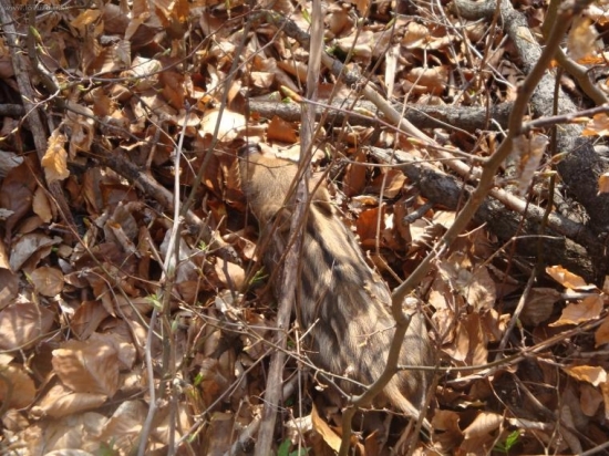 nebolo mi vsetko jedno 2