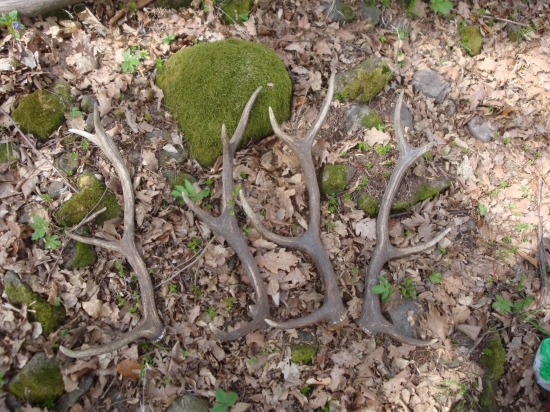 A tak sa mi dnes nikde nechcelo ist...