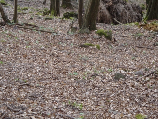 Az na treti pokus...