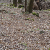 Az na treti pokus...