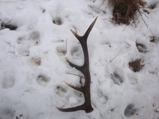 dve minuty skor a mohol byt moj...