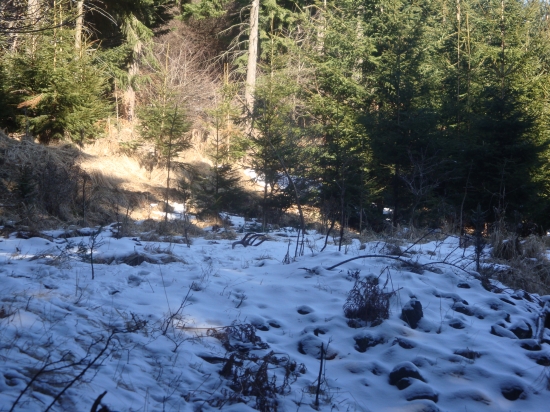 taketo pohlady zboznujem...