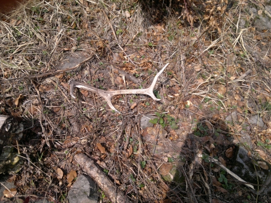 a dalsi do zbierky...