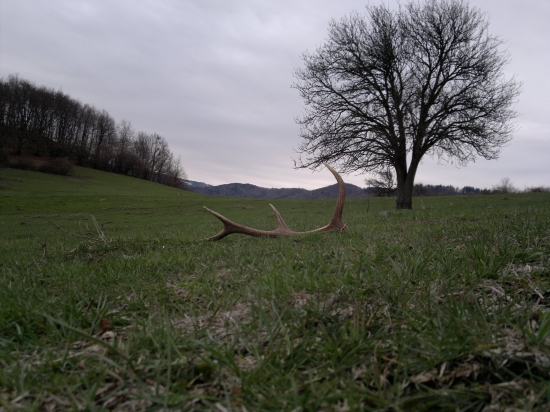 aj takyto ma potesi...