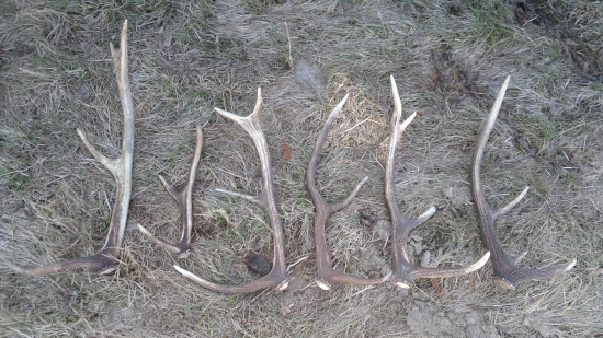 celkom vydareny velkonocny pondelok...