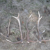 celkom vydareny velkonocny pondelok...