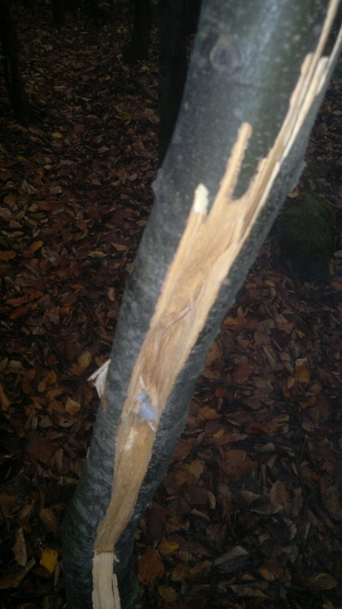 niekto asi minul ciel...