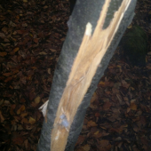 niekto asi minul ciel...