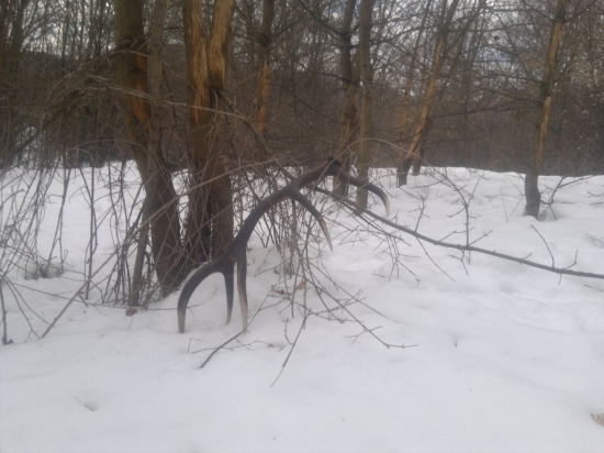 predsa som ho nasiel...