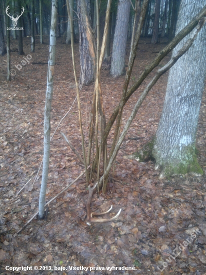 č.6