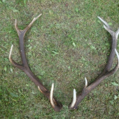 po troch rokoch opat spolu