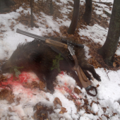 V dazdi sa zadarilo...