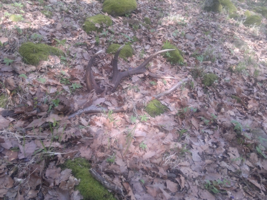 2 mesiace obchádzaný