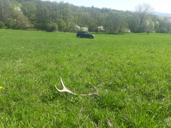 Posledný z posledných č.41