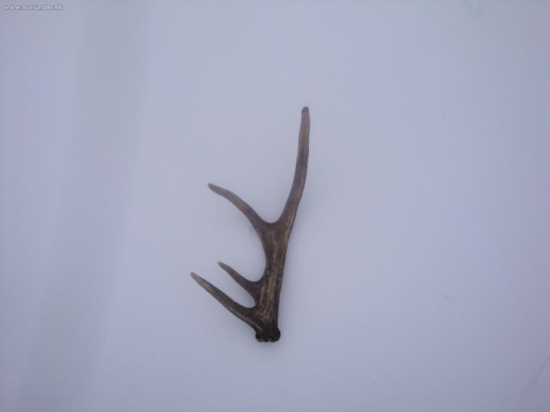 vcerajsi kapitalny...