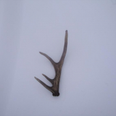 vcerajsi kapitalny...