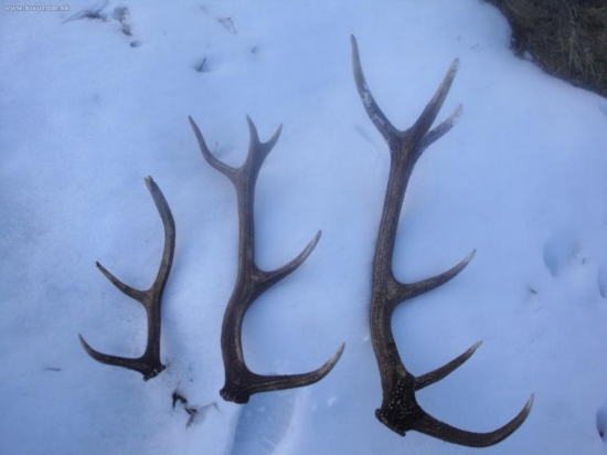 Dnes sa zadarilo lavy je moj...