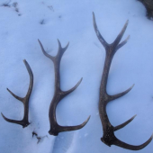 Dnes sa zadarilo lavy je moj...