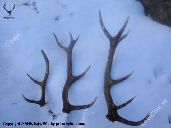 Dnes sa zadarilo lavy je moj...