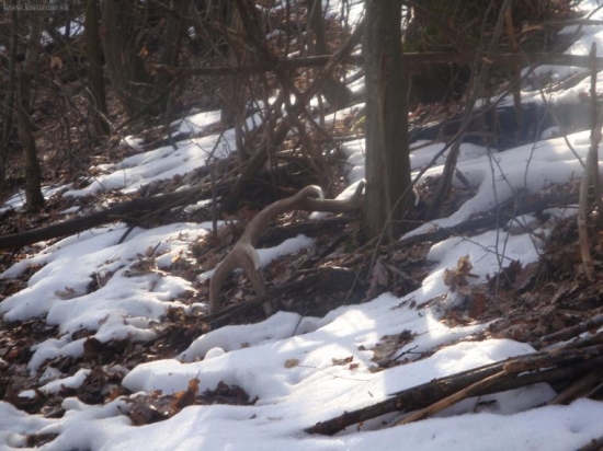 takto na mna cakal...