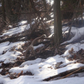 takto na mna cakal...