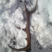 konecne tohtorocny...