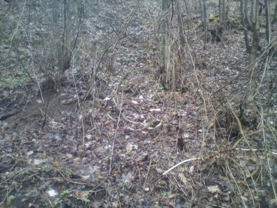 potesujuci pohlad...