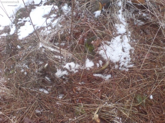 ledva som ho zbadal...