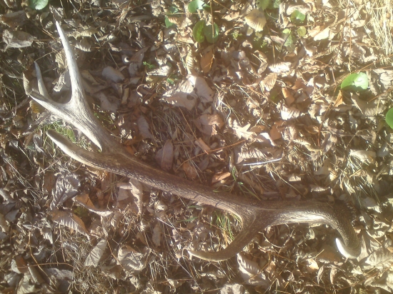 moj ulovok zo spolocnej...