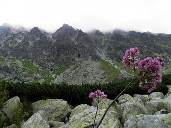 Spomienky na V. Tatry
