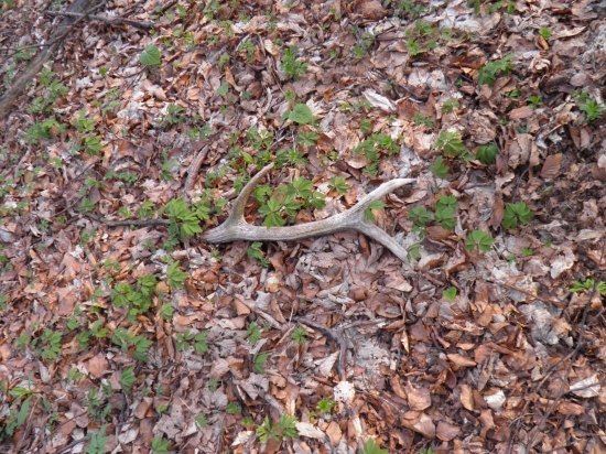 Takto na mňa čakal