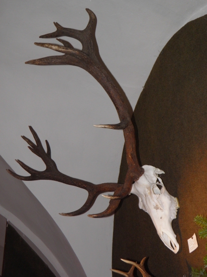 Chovateľská prehliadka Bardejov