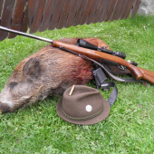 Prasiatko z októbrového splnu