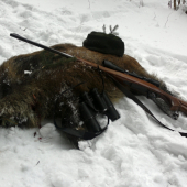 V jedno mrazivé ráno