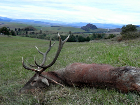 Posledný pohlaď kráľa na svoj kraj.