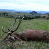 Posledný pohlaď kráľa na svoj kraj.