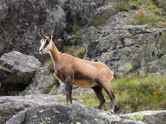 Spomienky na Tatry