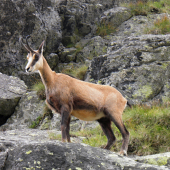 Spomienky na Tatry