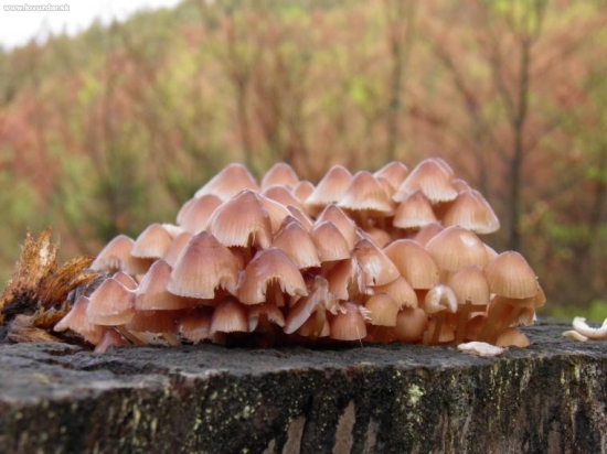 skuška noveho fotaku