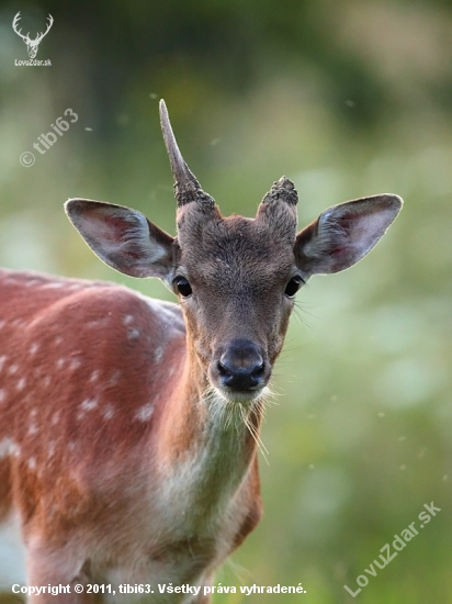Zlomený