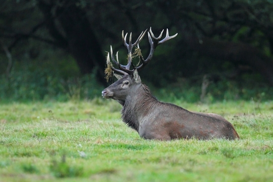 Trochu sa schladiť v daždi