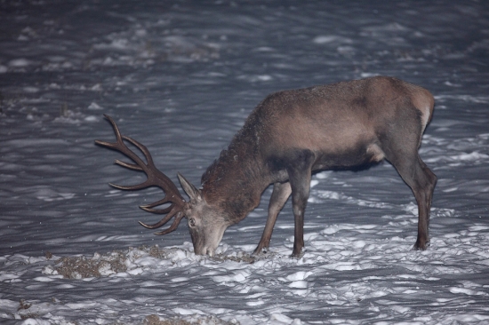 Nočné fotenie s bleskom