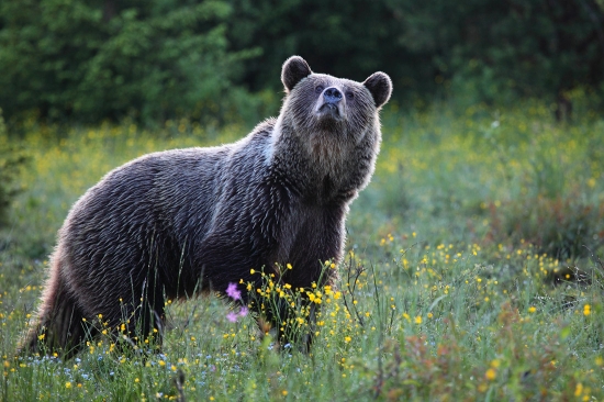 Ten pohľad ma trochu zneistil.