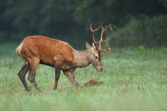 Trochu si tu ľahnem.