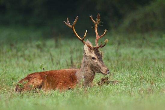 Mladík je po rujnej noci unavený.