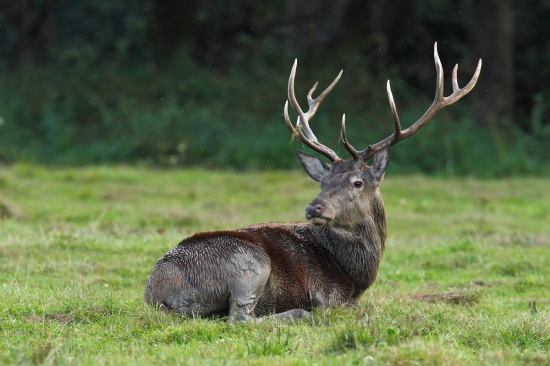 Odpočinok po kúpaní.