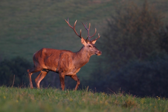 Posledné slnečné lúče.