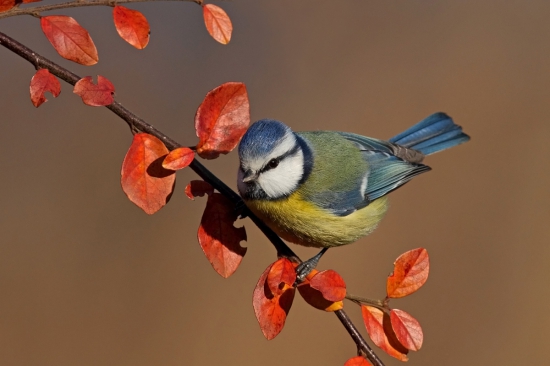 Po dlhom čase slniečko.